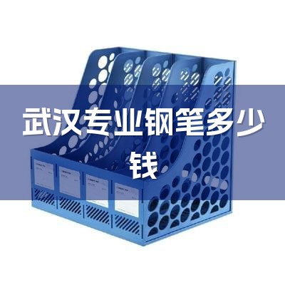 武汉专业钢笔多少钱-1